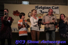 antwerpen 2012 228
