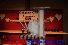bcf antw 2010 290