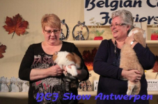 antwerpen 2012 179