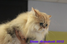 arendonk 2012 251