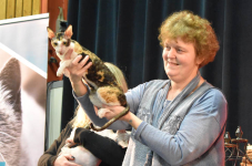 Katttenshow Arendonk 2020 DSC 0637
