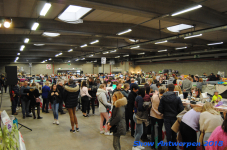 antwerp 2018 0136