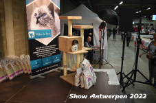 Antwerp 2022395