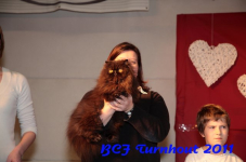 bcf antw 2010 231