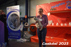 Laakdal 2023 333