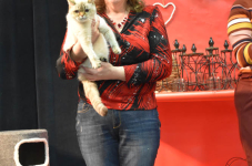 Katttenshow Arendonk 2020 DSC 0549