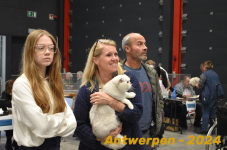 Antwerpen 218