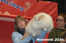 Arendonk 2024 552