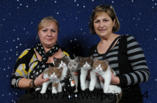 bcfantwerpen 2014 0031