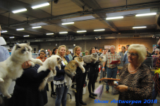 antwerp 2018 0299