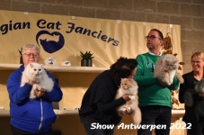 Antwerp 2022287