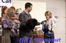  bcf ant 2011103