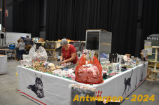 Antwerpen 081