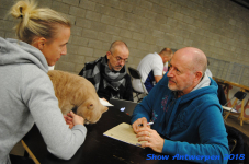 antwerp 2018 0483