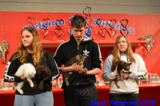 turnhout 2019-0433