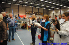 turnhout 2019-0202