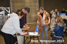 Schow Antwerpen 2023 068