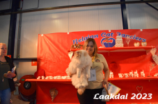 Laakdal 2023 272