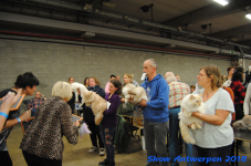 antwerp 2018 0291