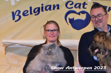 Schow Antwerpen 2023 426