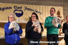 Antwerp 2022293