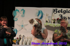 arendonk 2012 284