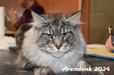 Arendonk 2024 236