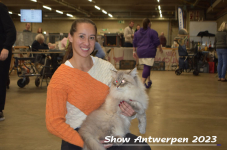 Schow Antwerpen 2023 266