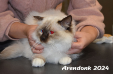 Arendonk 2024 133