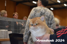 Arendonk 2024 240