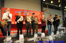 turnhout 2019-0206
