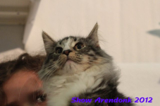 arendonk 2012 345