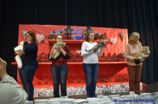 Katttenshow Arendonk 2020 DSC 0488