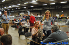 antwerp 2018 0477