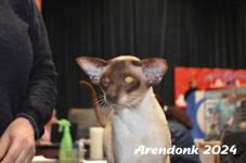 Arendonk 2024 346