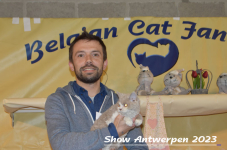 Schow Antwerpen 2023 388
