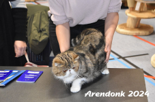 Arendonk 2024 041