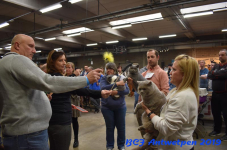 Antwerpen 2019DSC 0343
