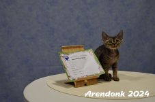 Arendonk 2024 568