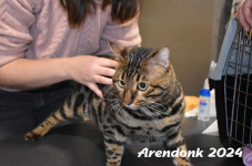 Arendonk 2024 088