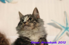 arendonk 2012 335