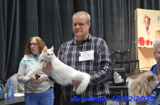 DSC 0326