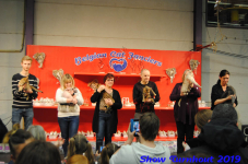 turnhout 2019-0149