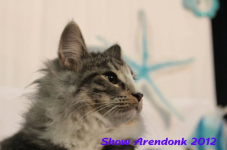 arendonk 2012 340