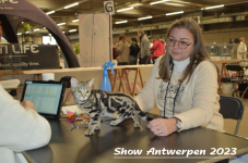 Schow Antwerpen 2023 274