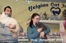 Schow Antwerpen 2023 297