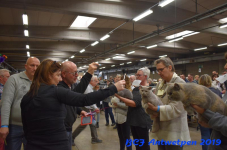 Antwerpen 2019DSC 0347