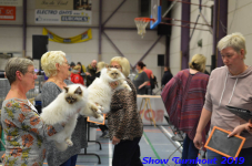 turnhout 2019-0444