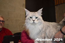Arendonk 2024 220