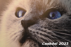 Laakdal 2023 274